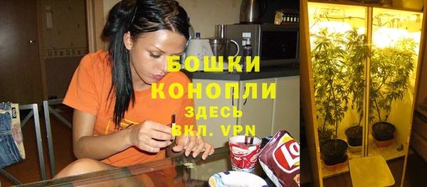 mdpv Верхний Тагил