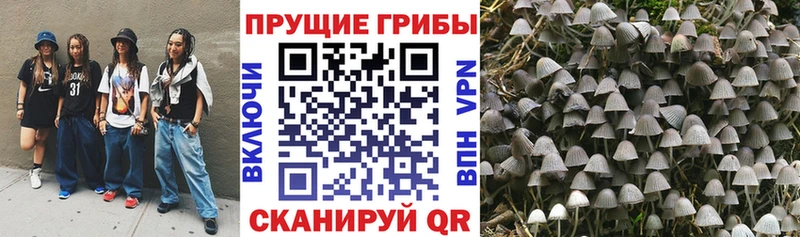Псилоцибиновые грибы мухоморы  Новоржев 
